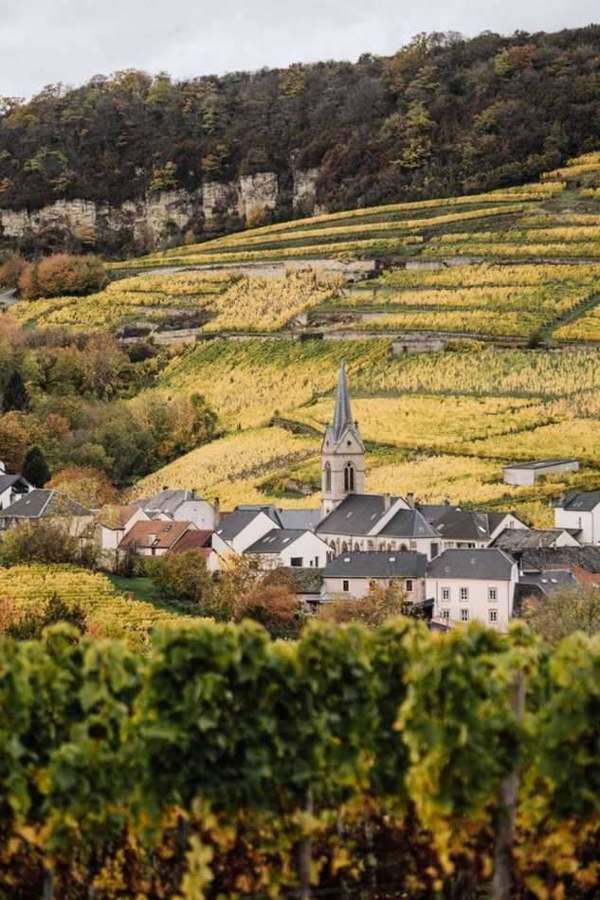 Champagne vineyard hillsides and village in autumn