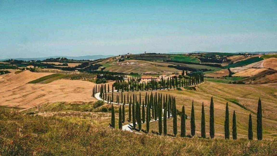 Tuscany countryside and cypress-lined road