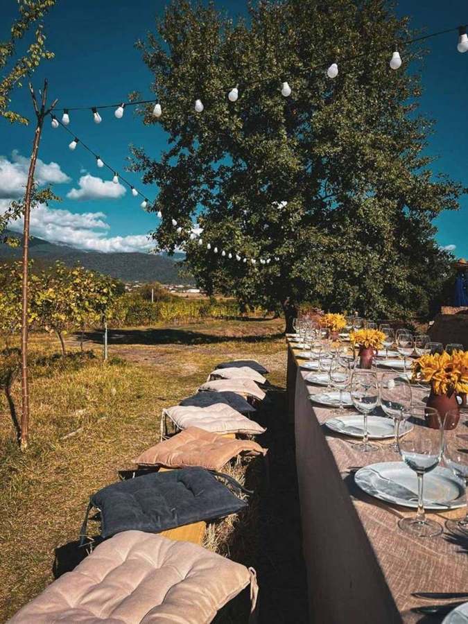 Long outdoor dinner table set in a Provençal vineyard