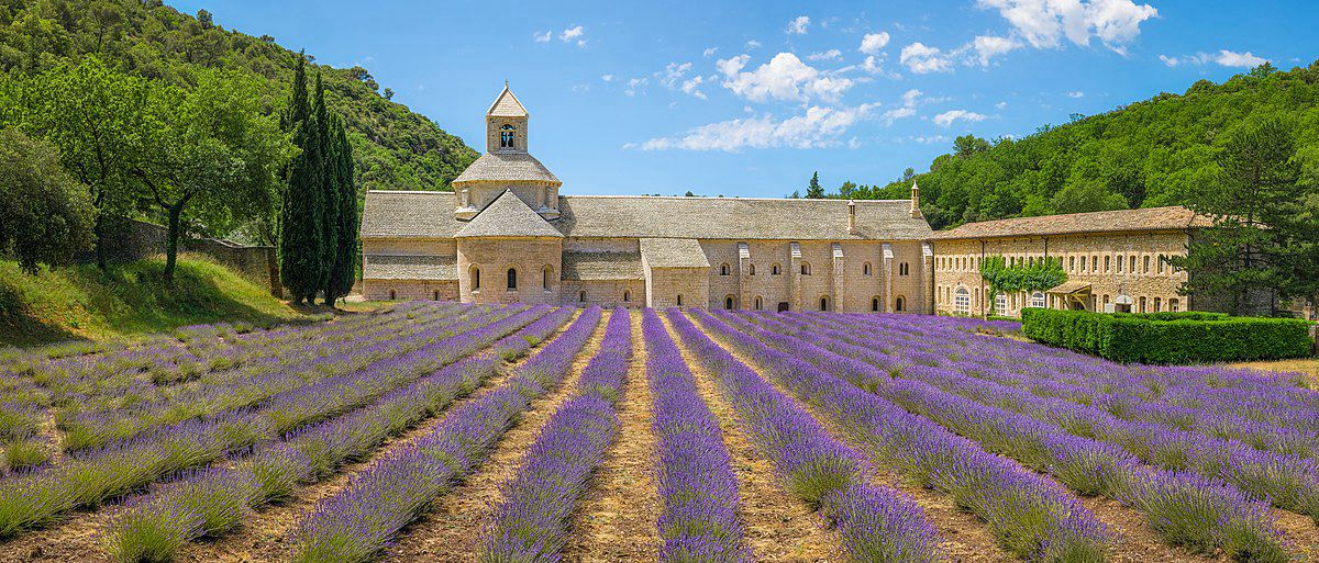 Provence landscape